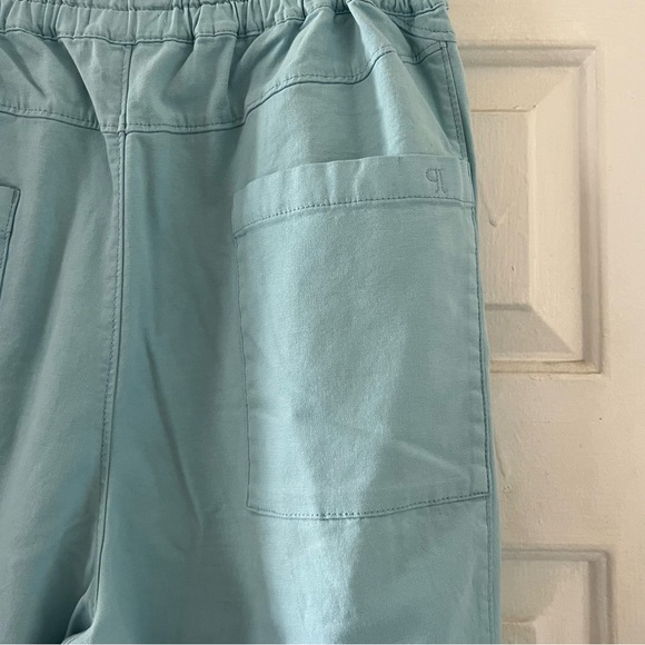 Anthropologie Relaxed Pull-On Barrel Pants by Pilcro - Picture 9 of 10